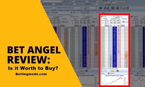 bet angel review, bet angel trading software review
